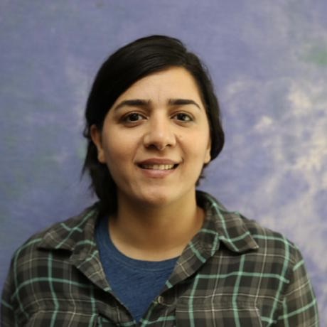 Narges Tabari